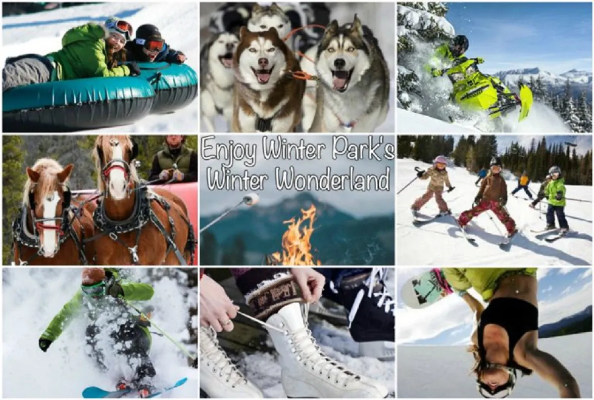 A lively winter scene featuring a range of snowy adventures: people snow tubing, huskies ready for dog sledding, snowmobiles, a horse-drawn sleigh, ski and snowboard action, ice skating, and a cozy fire pit gathering. The image conveys the excitement and diversity of winter sports and activities available in the area.